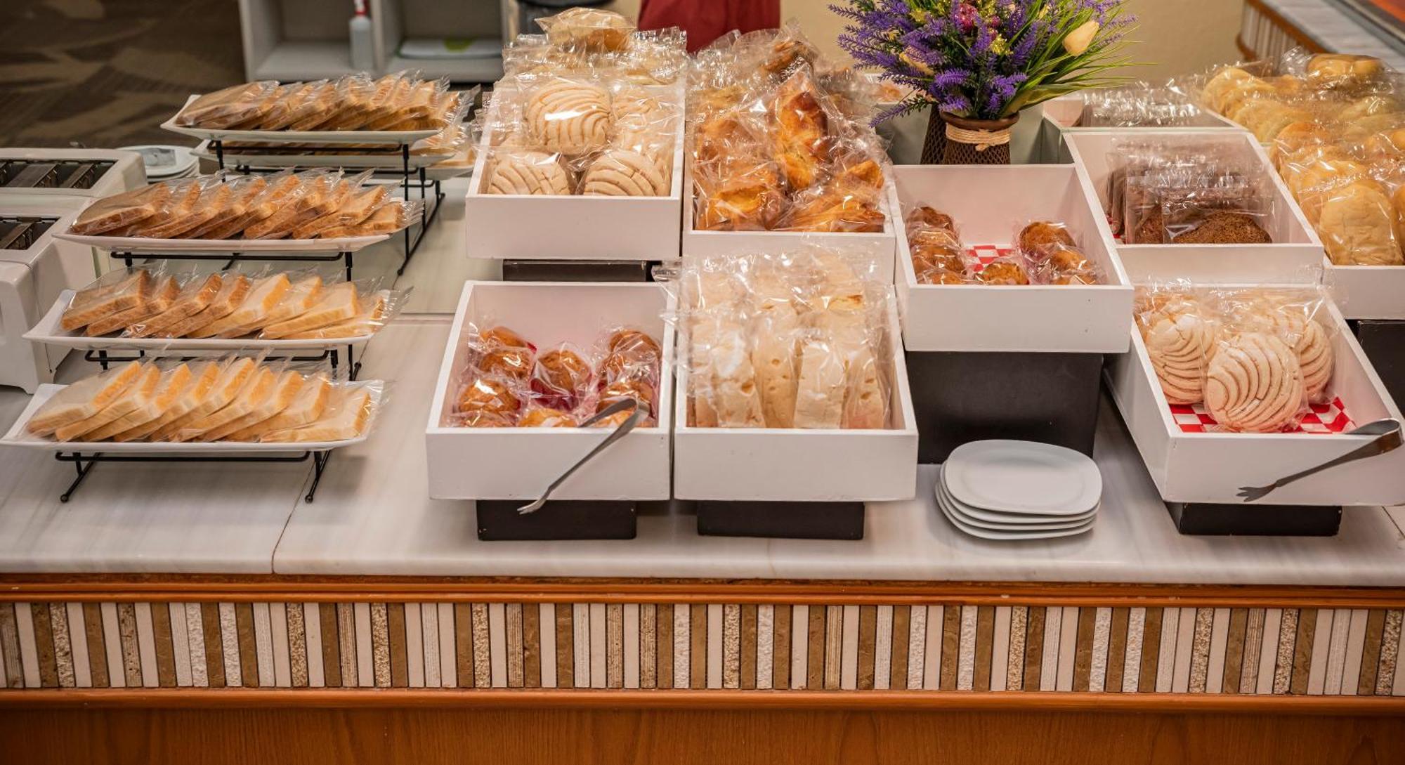 Holiday Inn La Piedad By Ihg Exterior photo